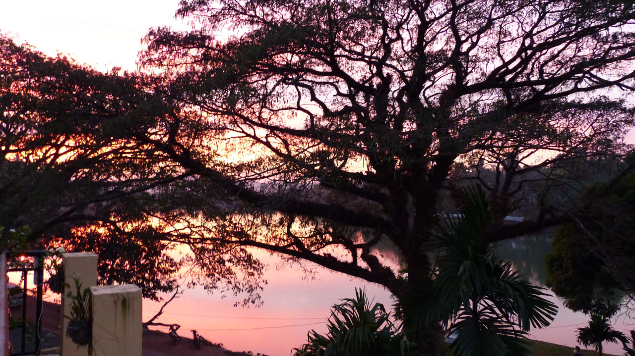 Ausblick Starlight Guesthouse