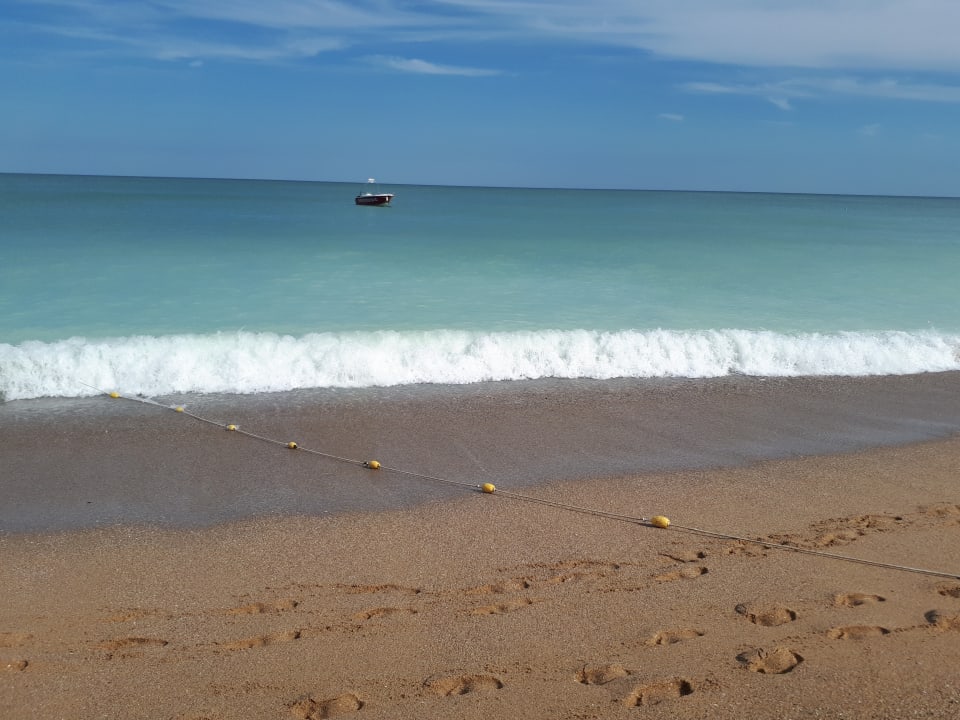 Strand Sentido Marea