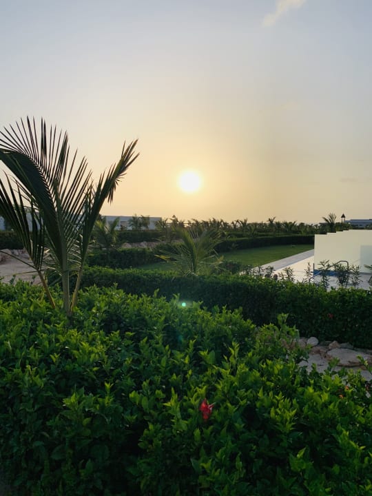 Ausblick Hotel Riu Palace Boavista