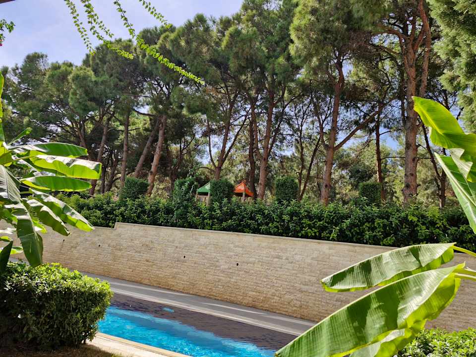 Gartenanlage Paloma Pasha