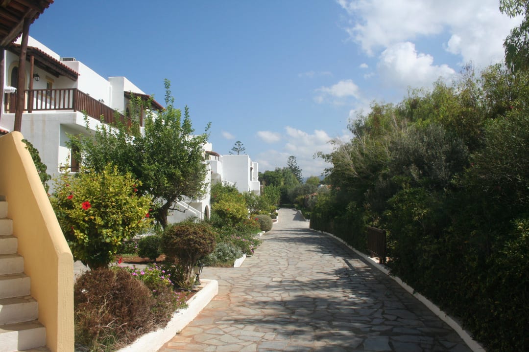 Garten  Alexander Beach Hotel & Village Resort