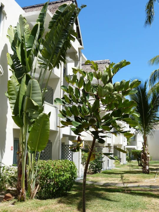 Gartenanlage und Wohnhäuser Ambre Mauritius