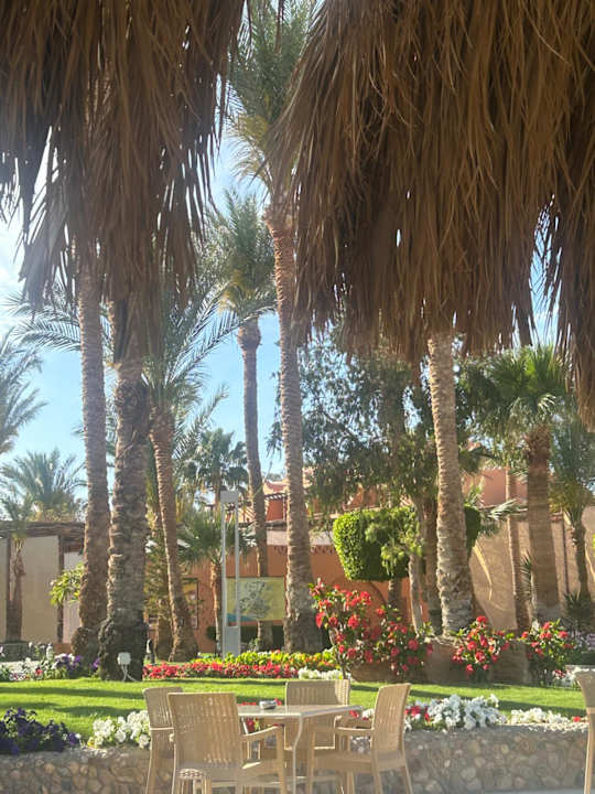 Außenansicht Jaz Makadi Oasis Resort