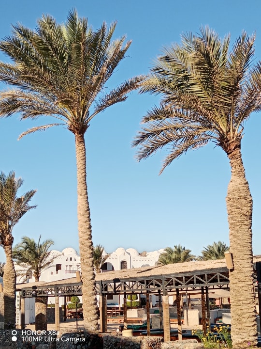 Gartenanlage Arabella Azur Resort