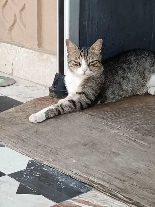 Sonstiges The Grand Palace - Adults only