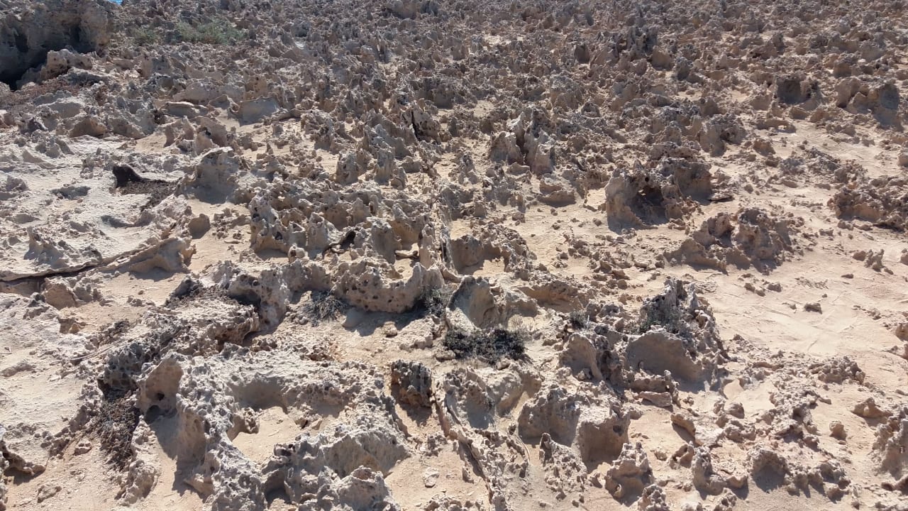 Strand Nelia Sea Breeze