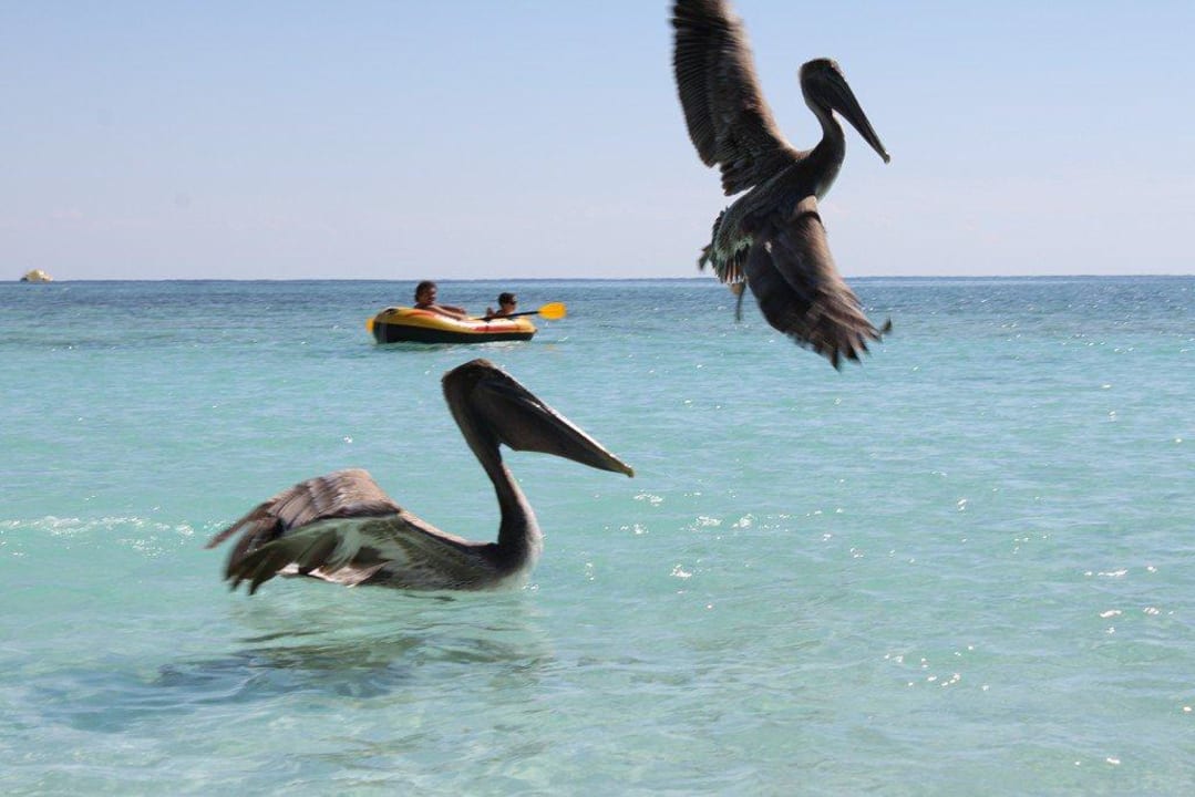 Plaża Dreams Aventuras Riviera Maya