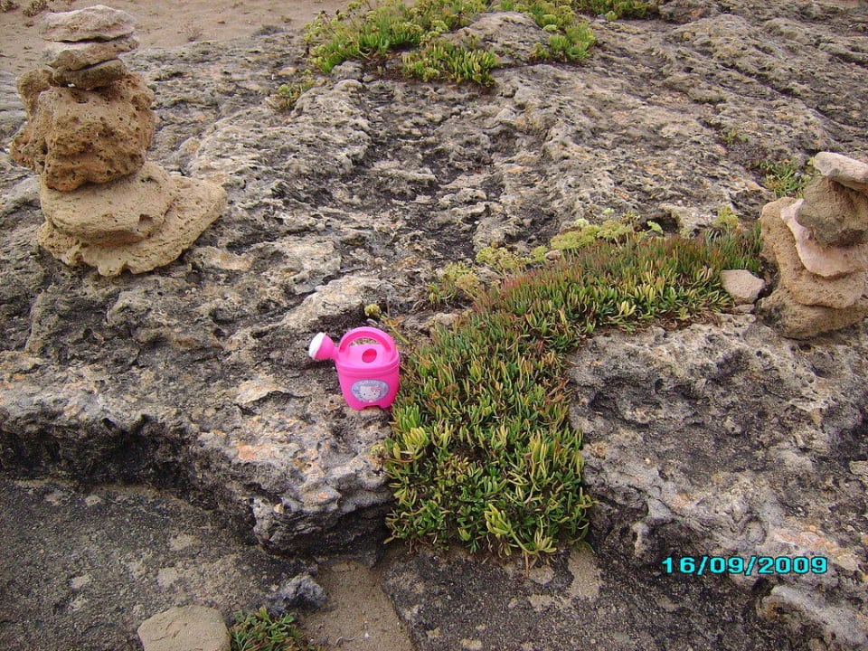 Vergessenes Spielzeug Hotel Exagon Park