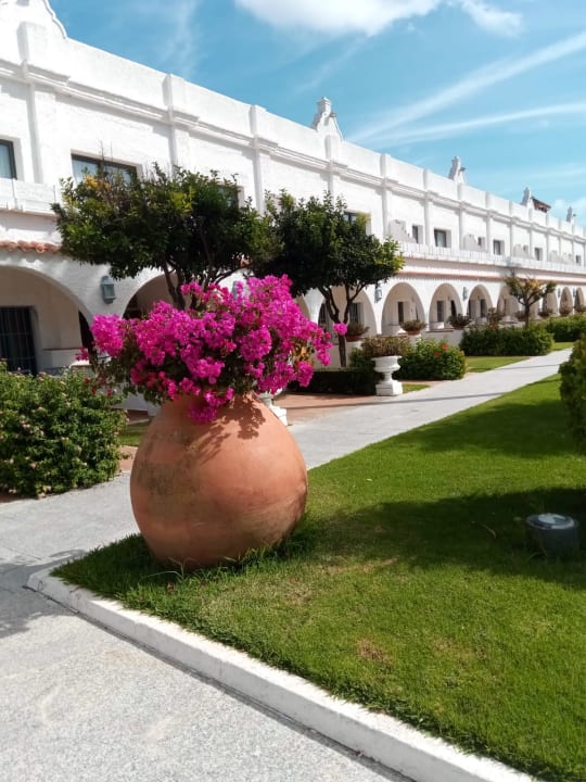 Gartenanlage Hotel Playa de la Luz
