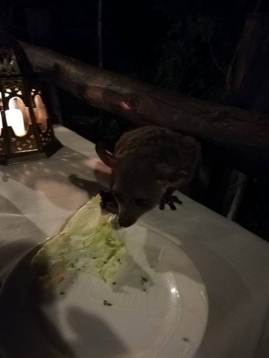 Sonstiges Shimba Hills Lodge