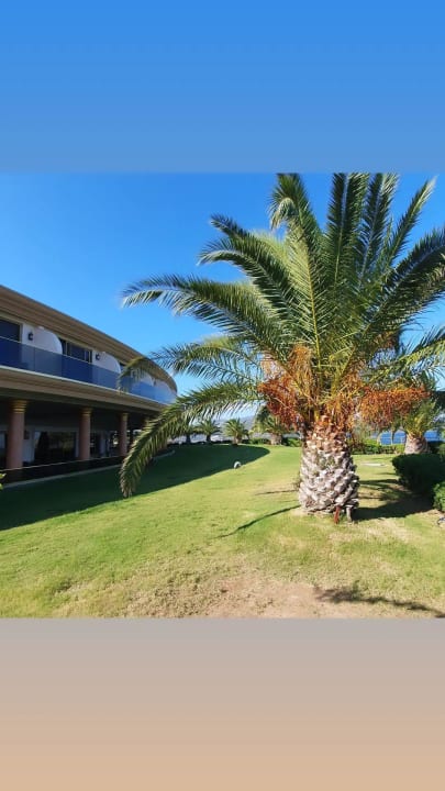 Außenansicht The Plaza Bodrum