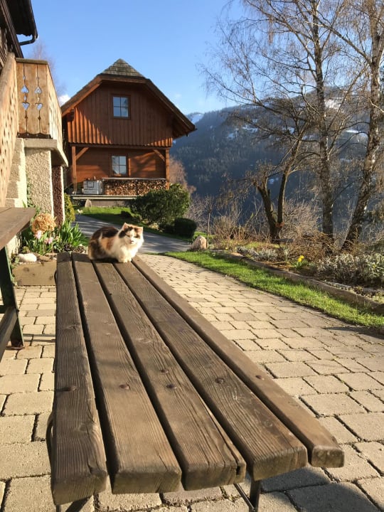 Sonstiges Bio-Bauernhof Thonnerhof
