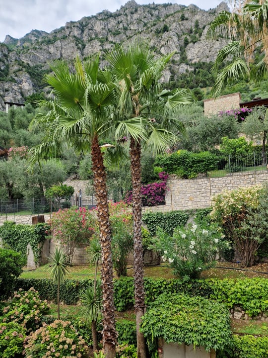 Ausblick Hotel San Pietro
