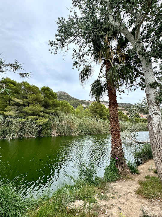 Sonstiges Universal Hotel Castell Royal