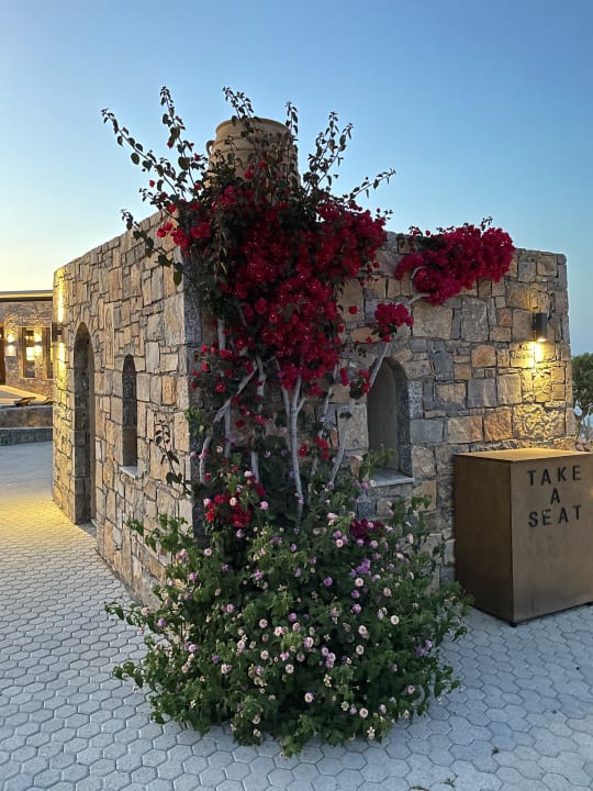 Gartenanlage Nana Golden Beach