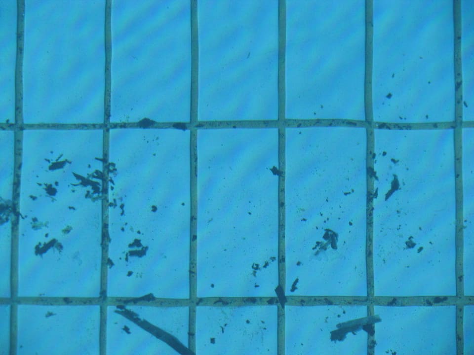 Basen Crystal Springs Beach Hotel