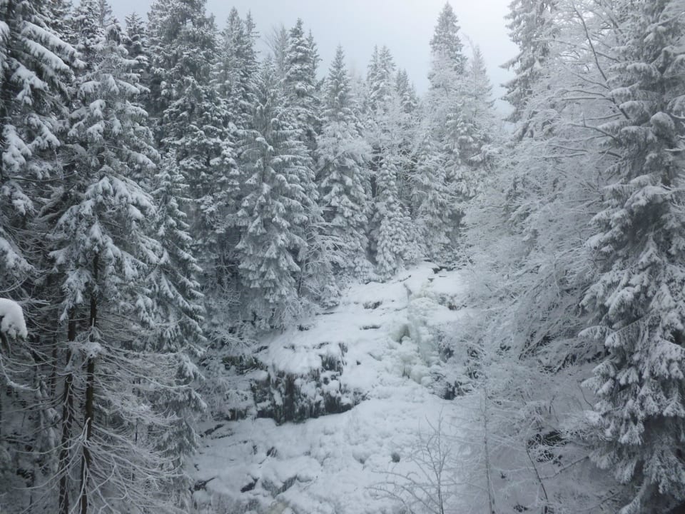 Widoki Hotel Sasanka