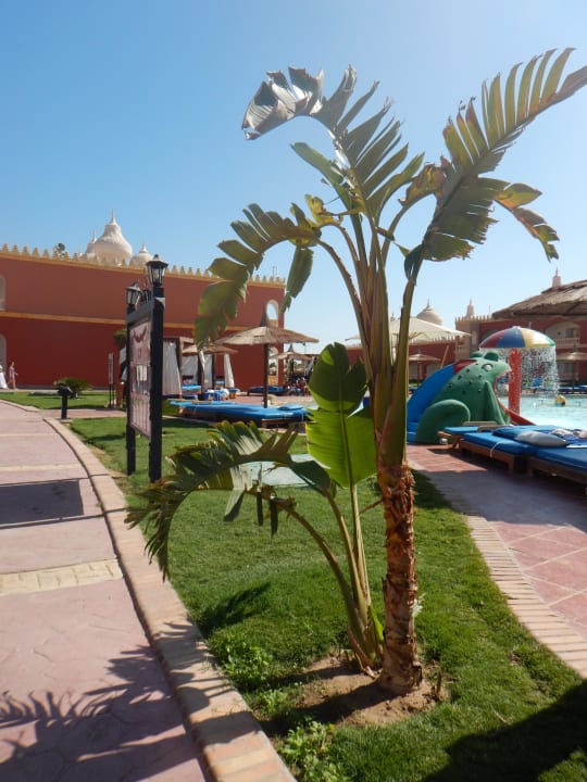 Hotel Pickalbatros Alf Leila Wa Leila Resort - Neverland Hurghada