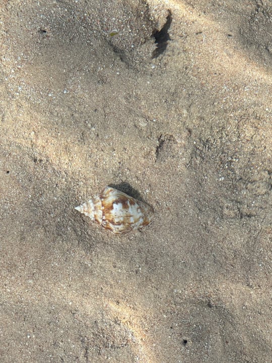 Strand Steigenberger Resort Ras Soma