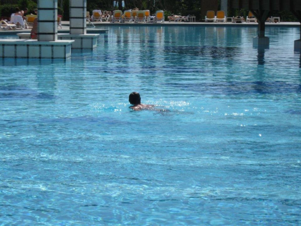 Baden im Pool Hotel Delphin Diva