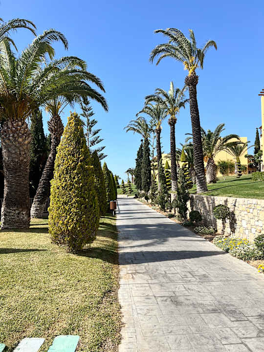 Gartenanlage Hotel Horizon Beach Resort