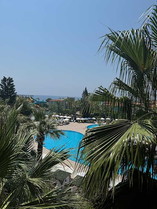 Pool Delphin Deluxe Resort