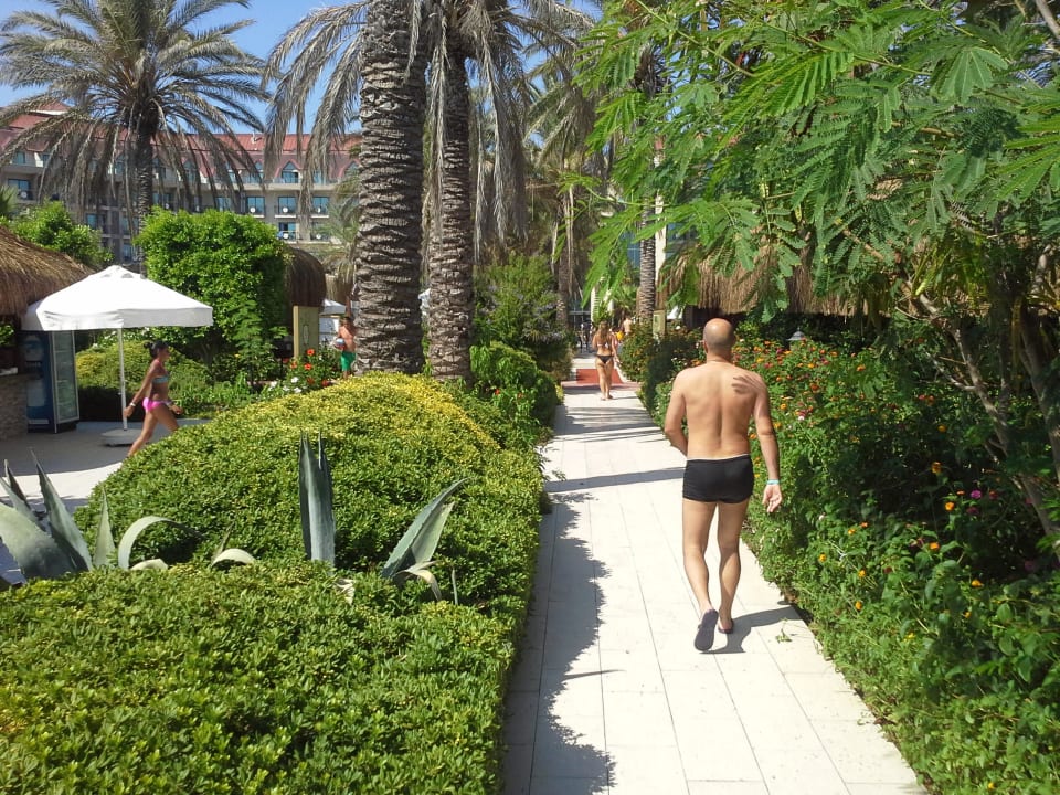 Poolbereich Özlem Garden Hotel