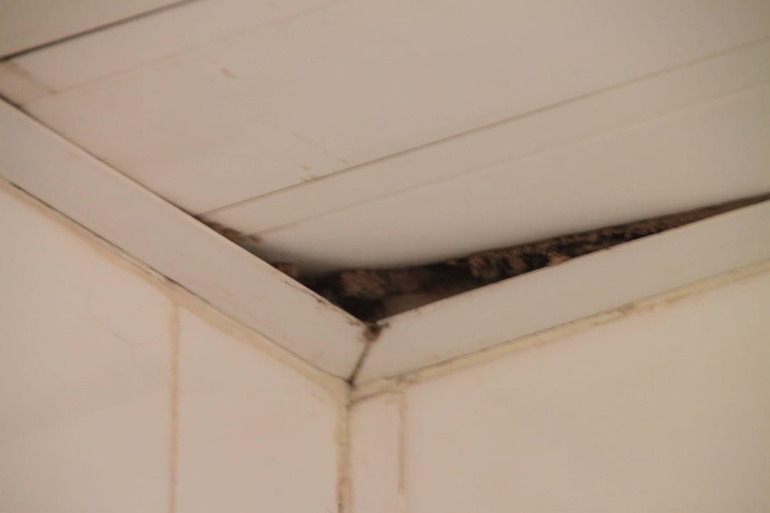 Decke Bad Memories Miramar Havana