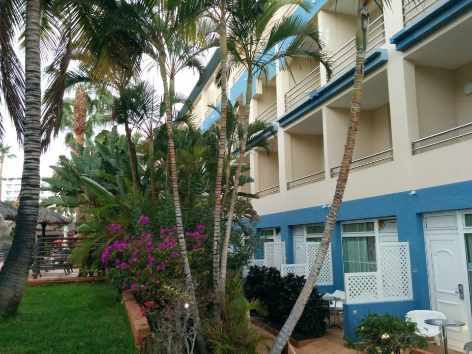 Sonstiges IFA Altamarena by Lopesan Hotels
