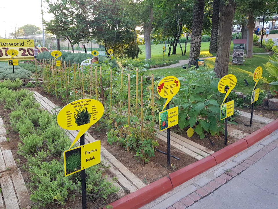 Gartenanlage Asteria Family Belek