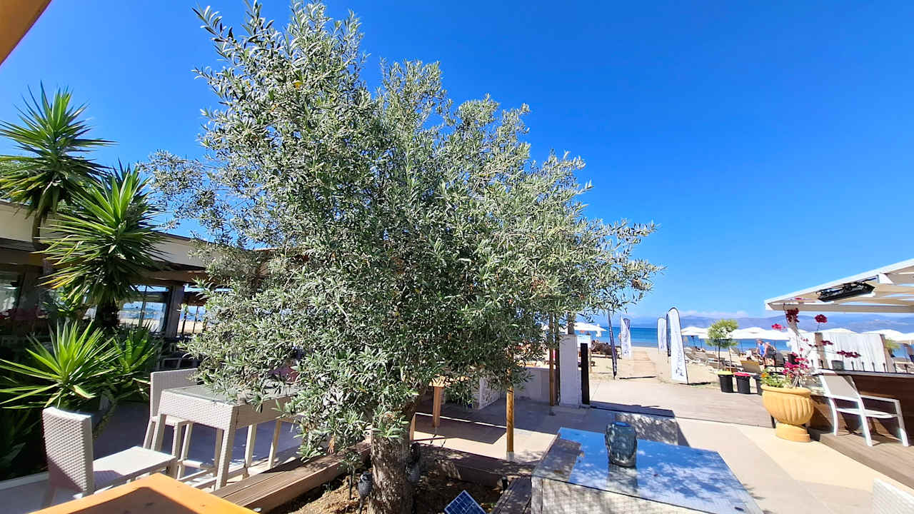 Gastro Cavomarina Beach- Adults Only