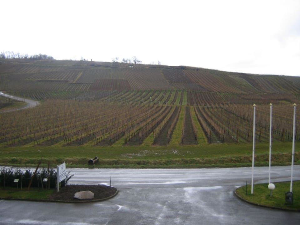 Vue de la chambre Hotel Le Riquewihr