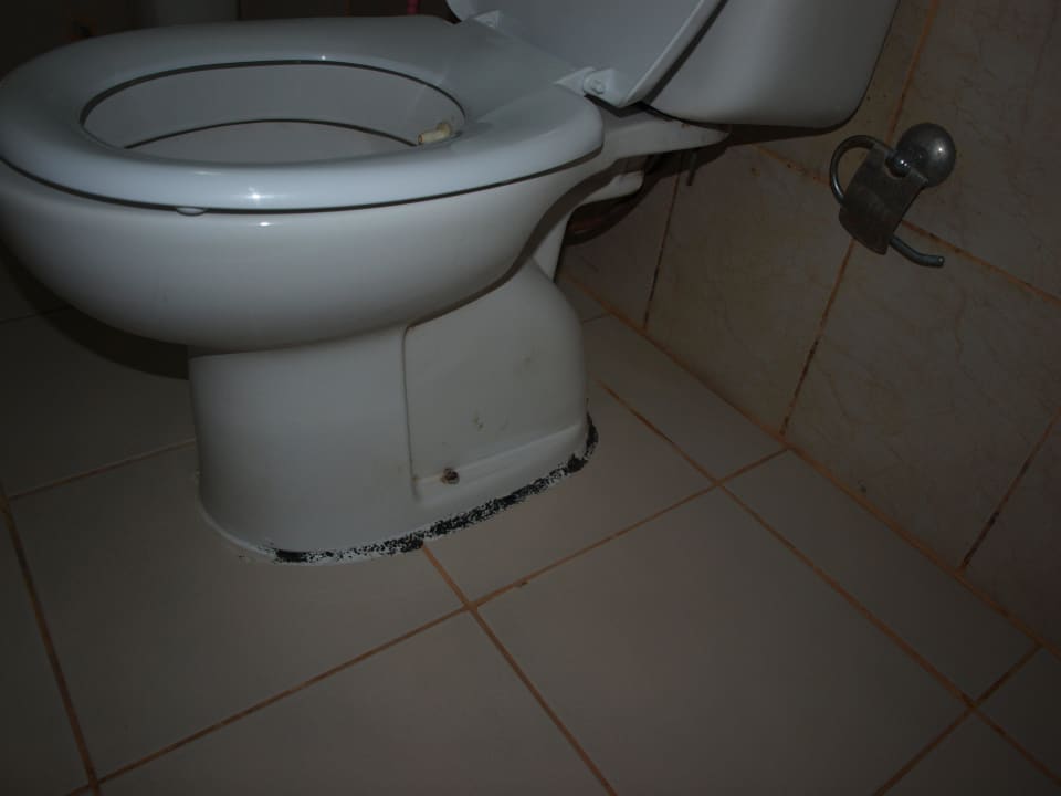  kolorowy sylikon Hotel Kleopatra Alis