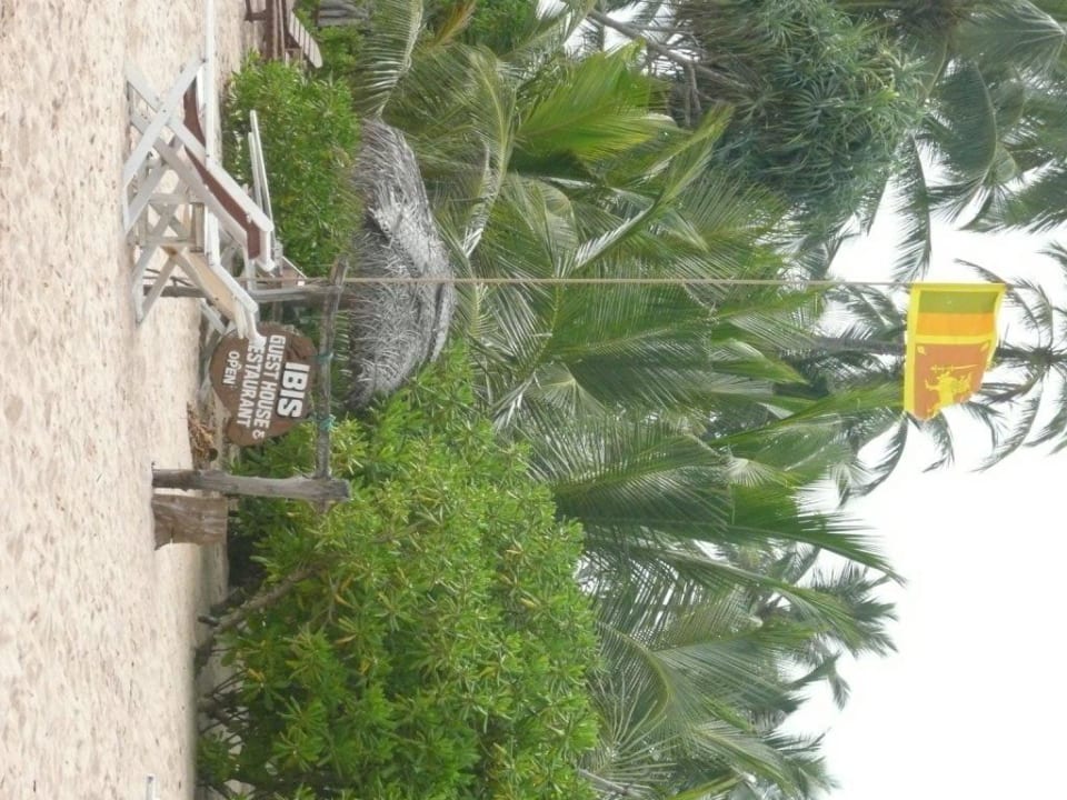 Sicht vom Strand zum Guesthouse Ibis Guesthouse