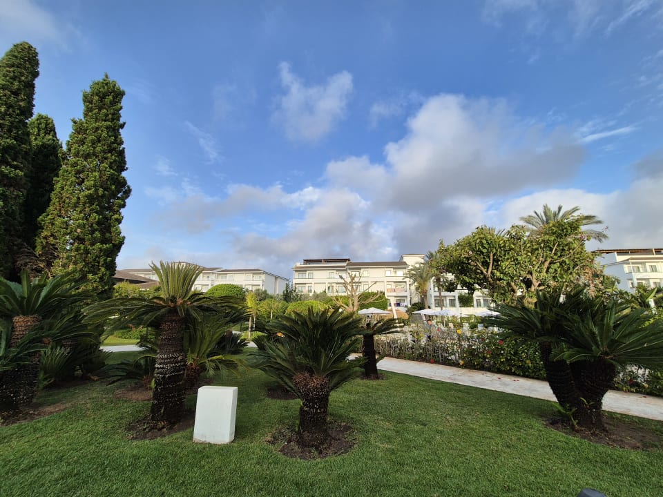 Gartenanlage Prinsotel La Dorada