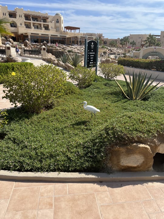 Sonstiges Hotel Kempinski Soma Bay