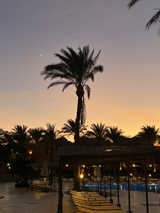 Pool Jaz Makadi Oasis Resort