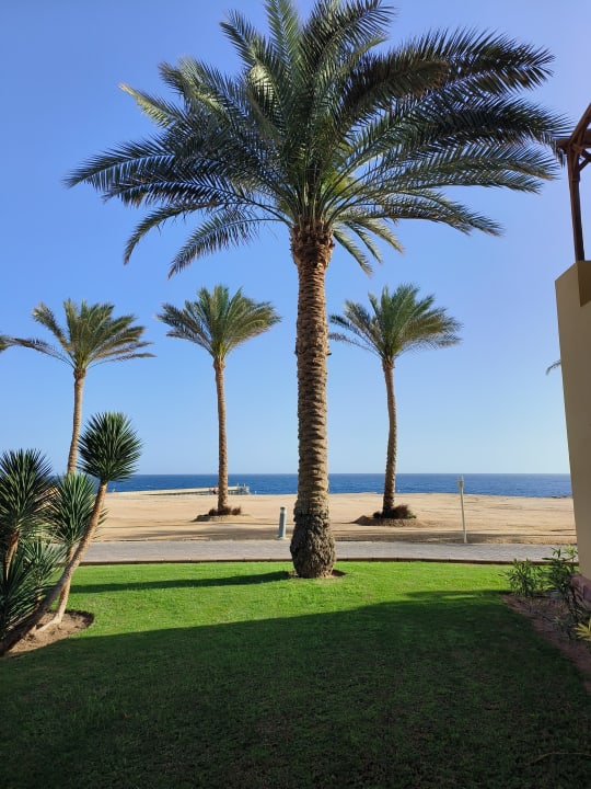 Gartenanlage Steigenberger Coraya Beach - Adults only