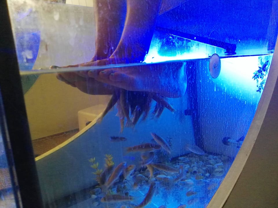 Fisch Spah macht Spass Omar Khayam Resort & Aquapark