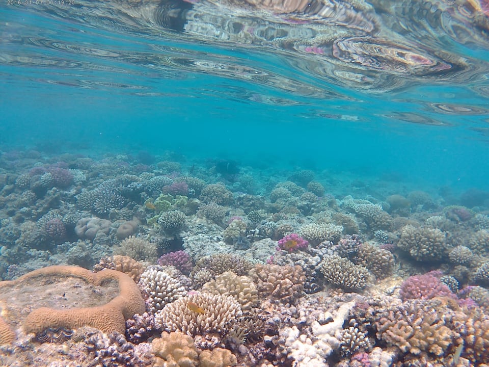 Sport & Freizeit Jaz Makadi Saraya Resort