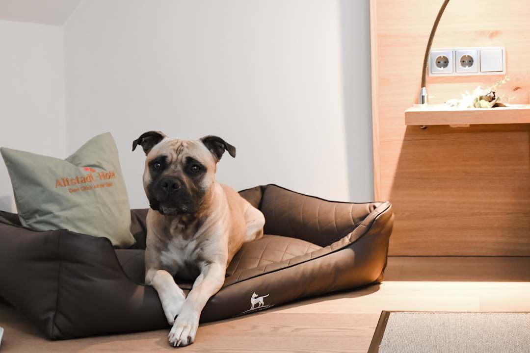 Sonstiges Altstadt Hotel