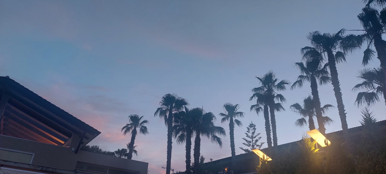 Gartenanlage allsun Hotel Eden Playa