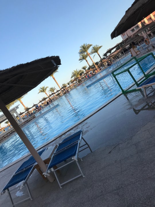 Pool Beach Albatros Resort