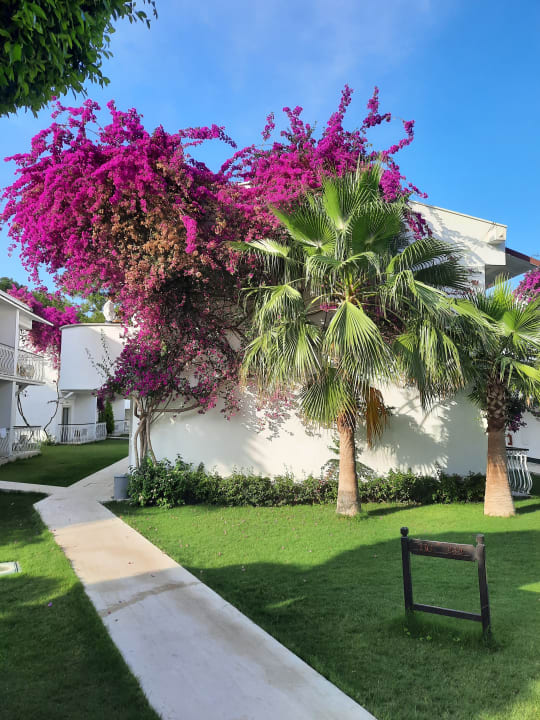 Gartenanlage Club Boran Mare Beach
