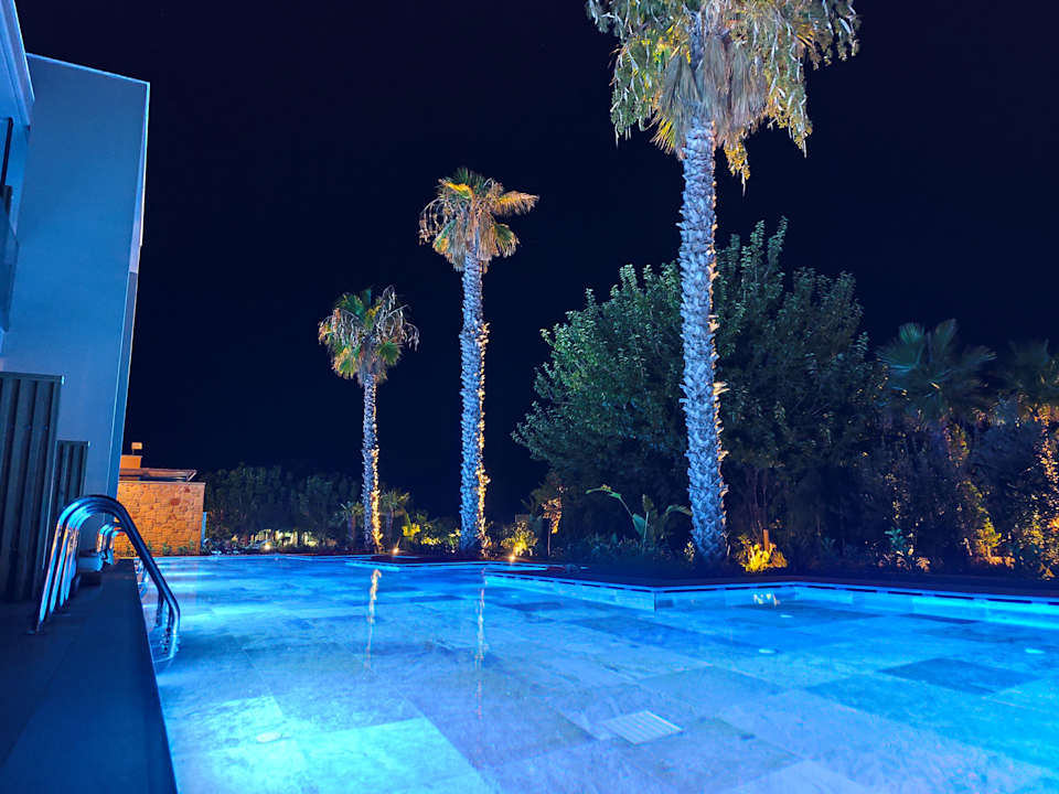 Zimmer Portes Theros