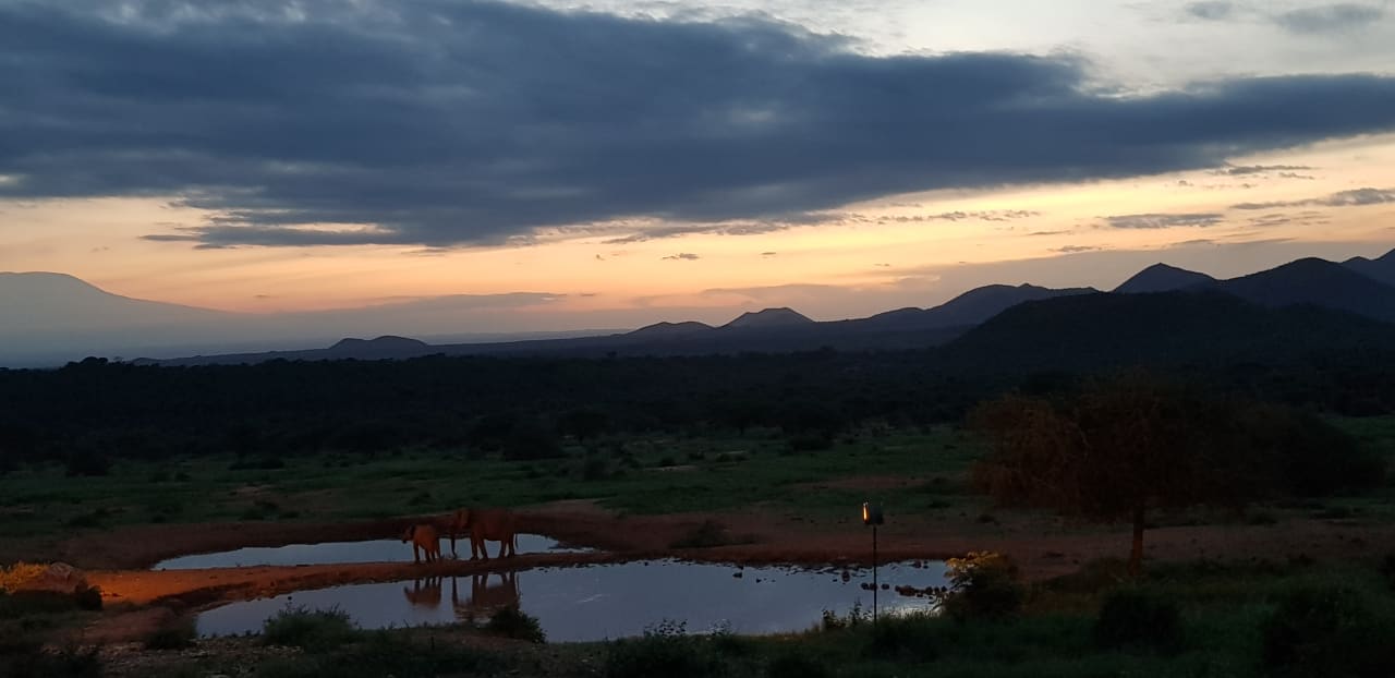 Ausblick Kilaguni Serena Safari Lodge