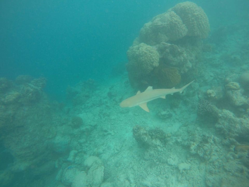 Hai Kuramathi Maldives