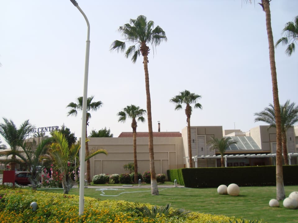 Gartenanlage Beach Albatros Resort