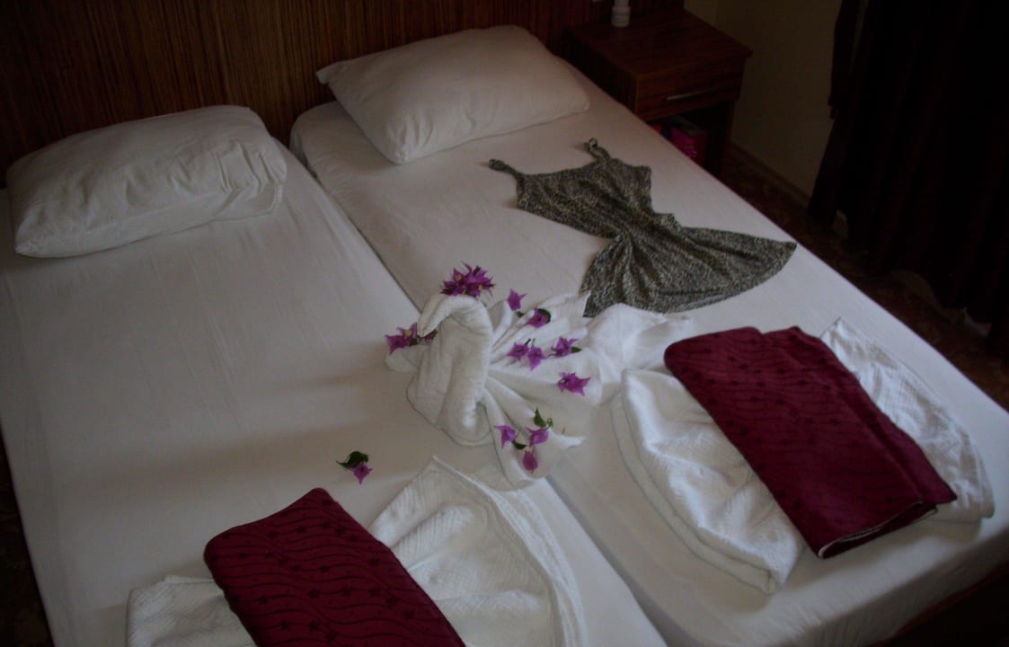 Immer nett Havana Hotel