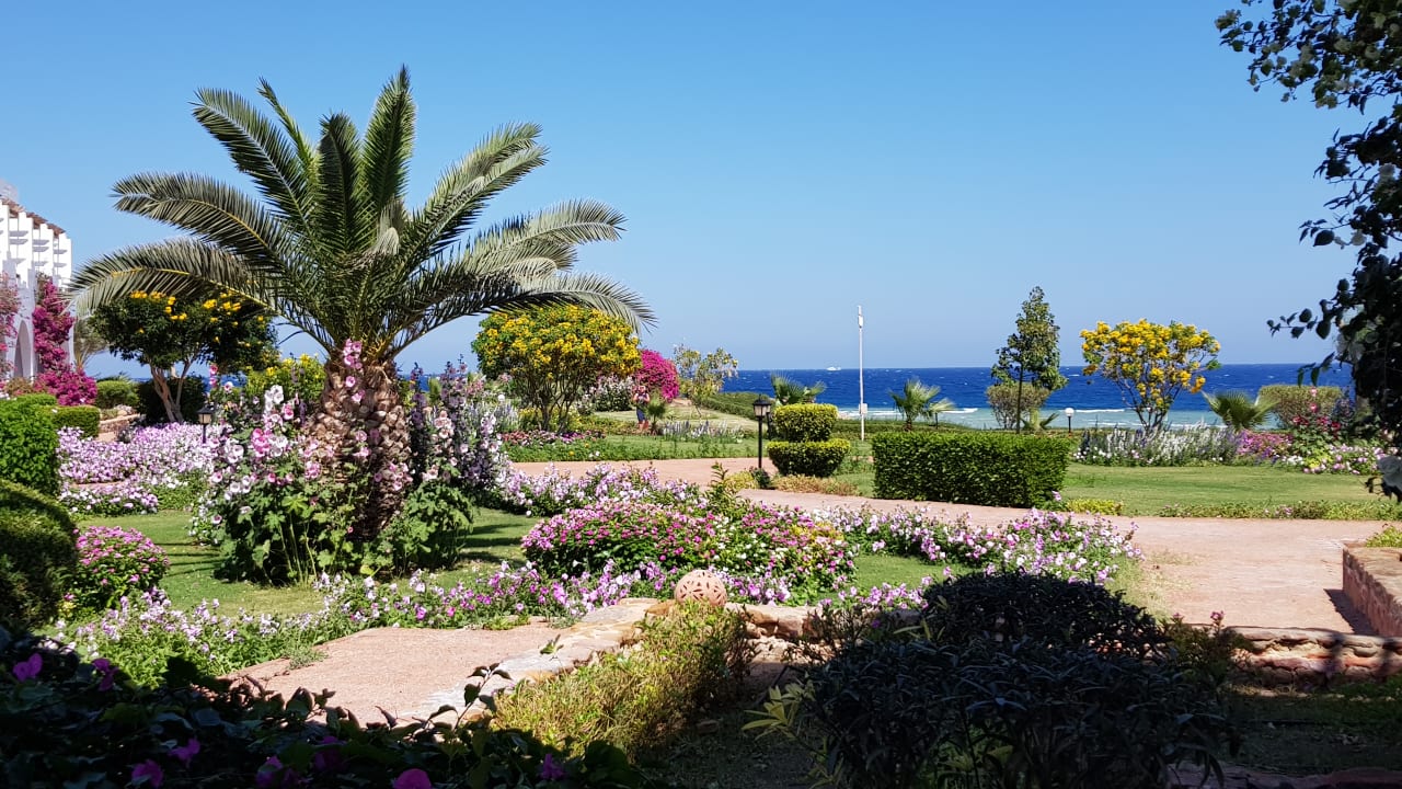 Blick von unserem Balkon auf Garten und Meer! Three Corners Equinox Beach Resort
